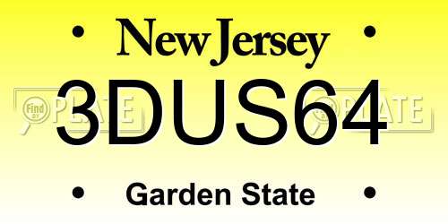 3DUS64 New Jersey License Plate