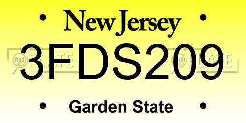 3FDS209 New Jersey License Plate