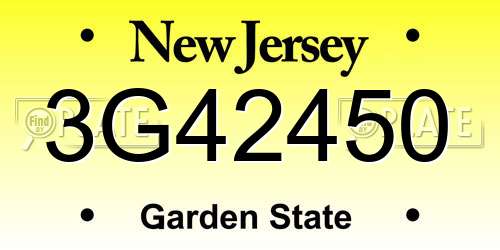 3G42450 New Jersey License Plate