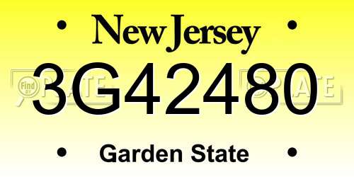 3G42480 New Jersey License Plate
