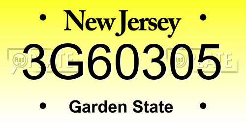 3G60305 New Jersey License Plate