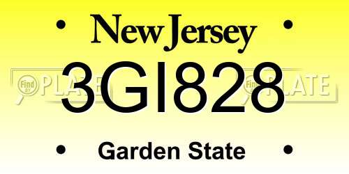 3GI828 New Jersey License Plate