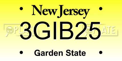 3GIB25 New Jersey License Plate