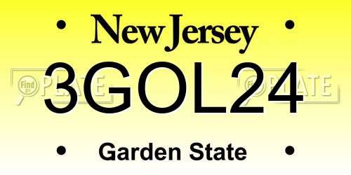 3GOL24 New Jersey License Plate