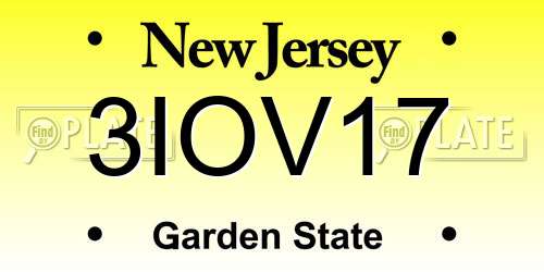 3IOV17 New Jersey License Plate