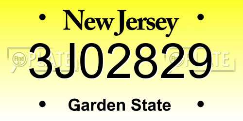 3J02829 New Jersey License Plate