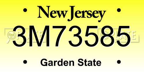 3M73585 New Jersey License Plate