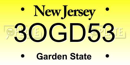 3OGD53 New Jersey License Plate