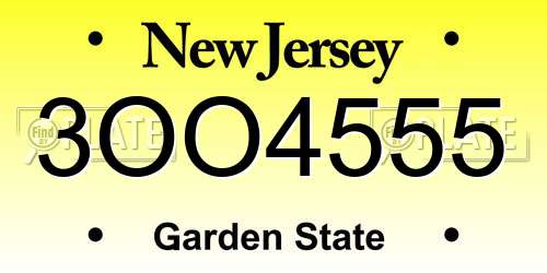 3OO4555 New Jersey License Plate