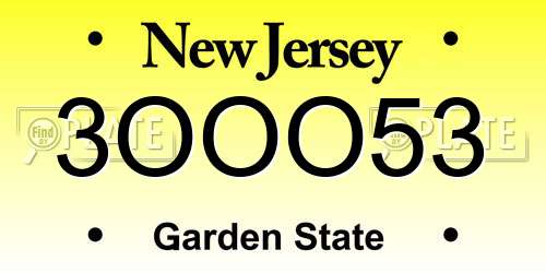3OOO53 New Jersey License Plate