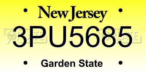 3PU5685 New Jersey License Plate