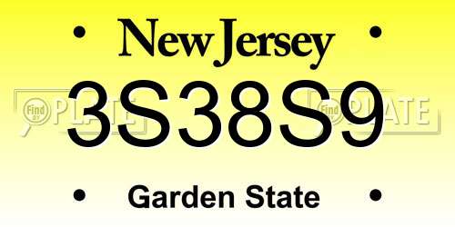 3S38S9 New Jersey License Plate