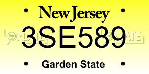 3SE589 New Jersey License Plate