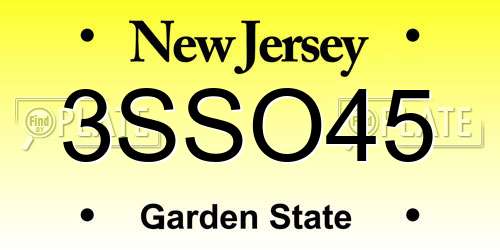 3SSO45 New Jersey License Plate