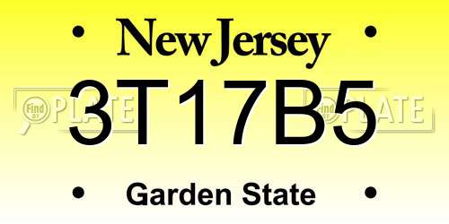 3T17B5 New Jersey License Plate