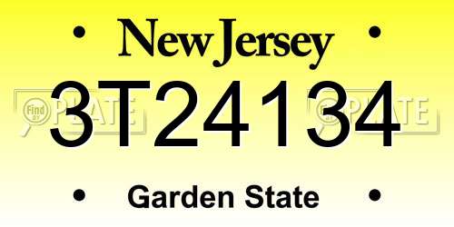 3T24134 New Jersey License Plate