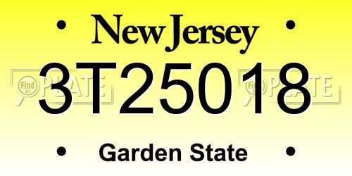 3T25018 New Jersey License Plate