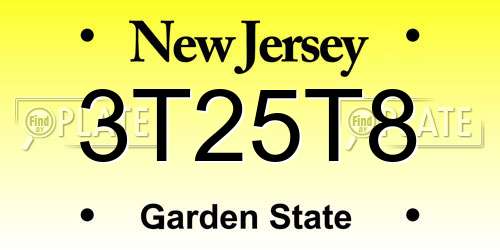 3T25T8 New Jersey License Plate