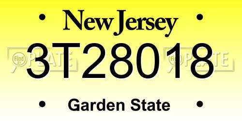 3T28018 New Jersey License Plate