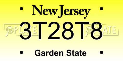 3T28T8 New Jersey License Plate