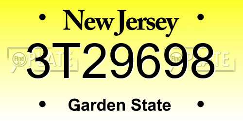 3T29698 New Jersey License Plate