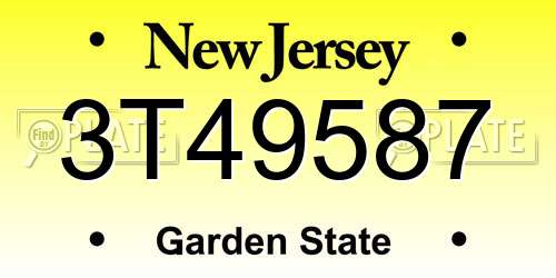 3T49587 New Jersey License Plate