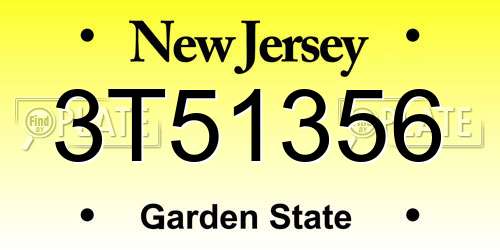 3T51356 New Jersey License Plate