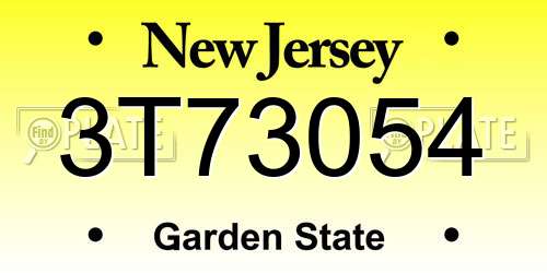 3T73054 New Jersey License Plate