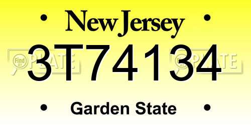3T74134 New Jersey License Plate
