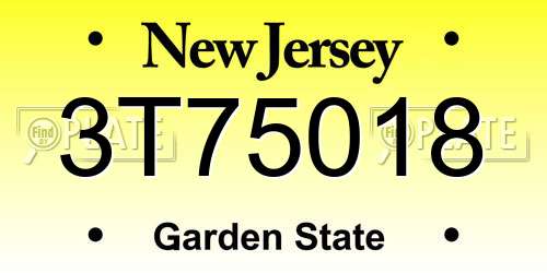3T75018 New Jersey License Plate