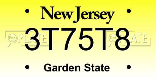 3T75T8 New Jersey License Plate