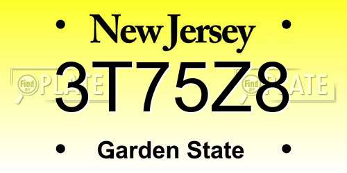 3T75Z8 New Jersey License Plate