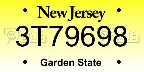 3T79698 New Jersey License Plate