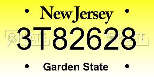 3T82628 New Jersey License Plate