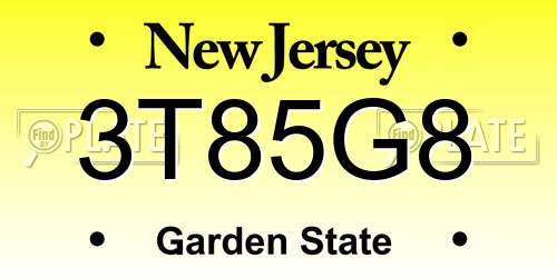 3T85G8 New Jersey License Plate