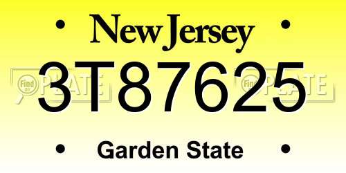 3T87625 New Jersey License Plate