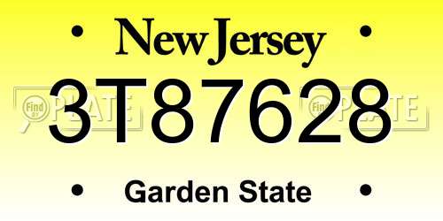 3T87628 New Jersey License Plate