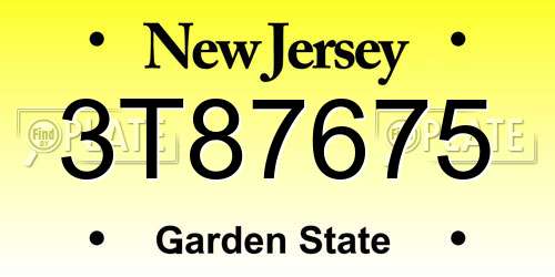 3T87675 New Jersey License Plate