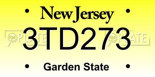 3TD273 New Jersey License Plate