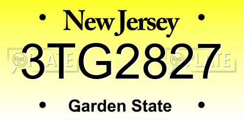 3TG2827 New Jersey License Plate