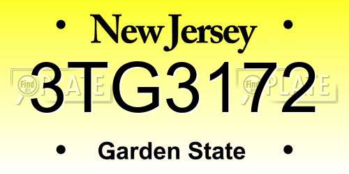 3TG3172 New Jersey License Plate