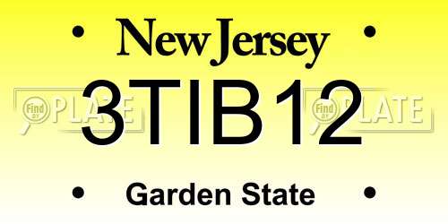 3TIB12 New Jersey License Plate