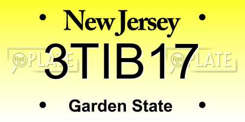 3TIB17 New Jersey License Plate