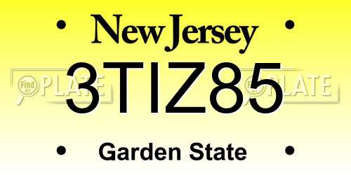 3TIZ85 New Jersey License Plate
