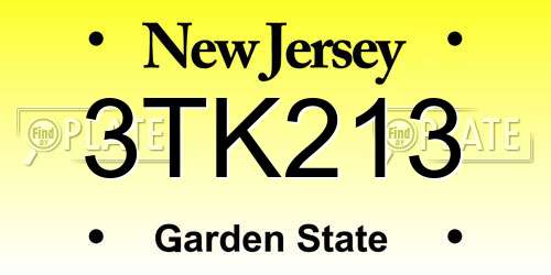 3TK213 New Jersey License Plate