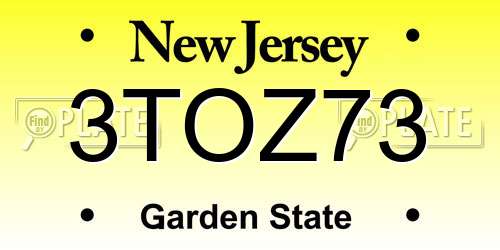 3TOZ73 New Jersey License Plate
