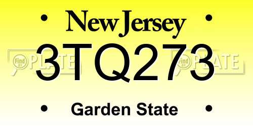 3TQ273 New Jersey License Plate
