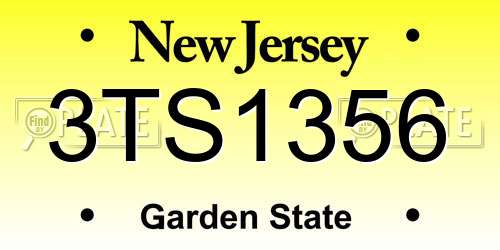 3TS1356 New Jersey License Plate