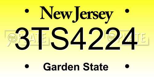 3TS4224 New Jersey License Plate