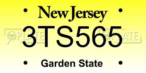 3TS565 New Jersey License Plate
